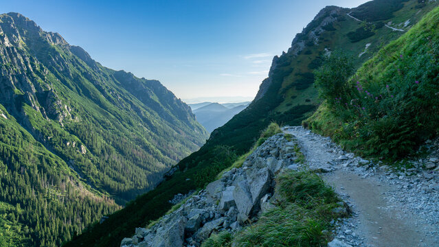 Dolina Roztoki g&oacute;ry Tatry 