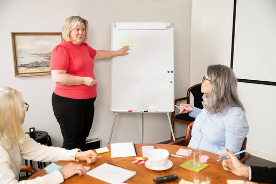 Businesswoman having presentation during business meeting