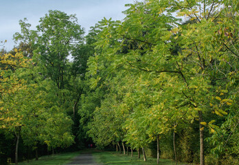 Beautiful view of the Enghien Gardens