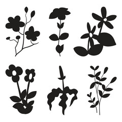 Botanical Flower Silhouette