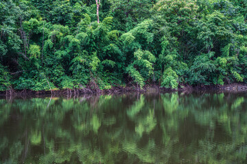 A small lake in Thailand surrounded by mountains with lush green forest and mist.