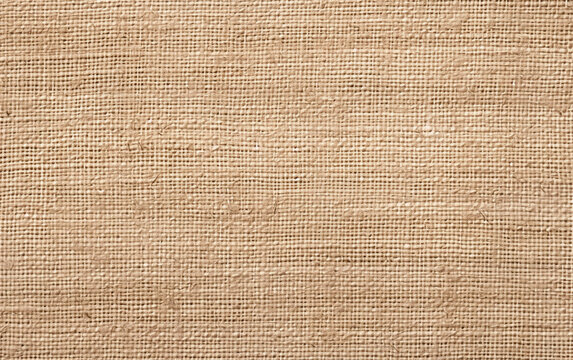 Sac Texture Jpg