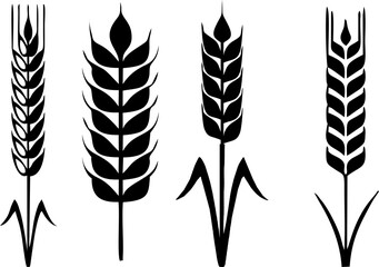 Wheat barley ears, oat isolated wreaths. Grains graphic, rice or malt icons. Gluten pictogram, cereal silhouette agriculture symbols. Food Products packing print idea HD resolution.