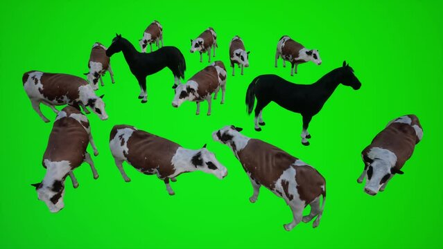 Green screen animals 3D cows and horses farm high angle for indoor and outdoor
