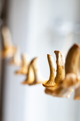 Dried Chanterelles in the windowsill. Seasonal Decor for Autumn. 