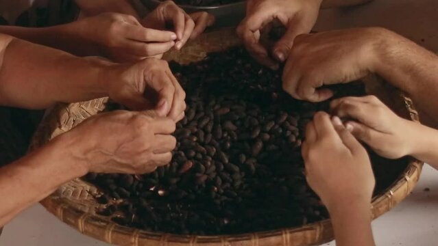 Hands working together to peel roasted cacao seeds, traditional process of making handmade tableya, showing authentic Filipino cuisine and cultural heritage