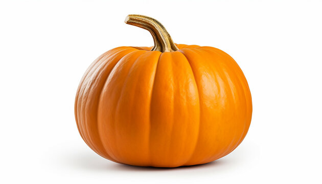 Isolated Pumpkin on White Background