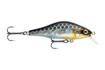 fishing bait, colorful fishing bait isolated from background