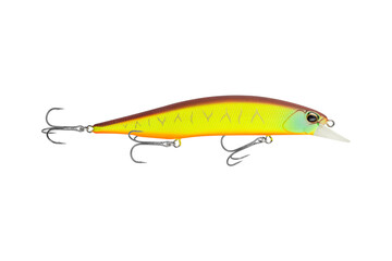 fishing bait, colorful fishing bait isolated from background