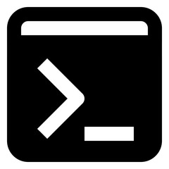 application developer