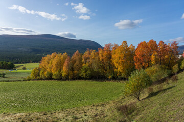 Naklejka premium Autumn at Lesja, Norway