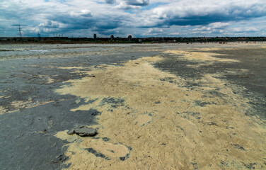 Yellow eggs of the crustaceans Artemia salina on the bank of the drying Kuyalnik estuary