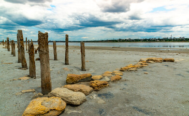 settling salt on wooden logs. Hypersaline water in a drying lake, an environmental problem. Ukraine