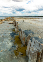 Salt Lake. Self-settling salt on wooden logs. Hypersaline water in a drying lake, an environmental problem. Ukraine