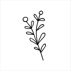 Hand-drawn vector branch for festive New Year and wedding card and packaging designs. Doodle vector illustration for winter greeting cards, posters, stickers, and seasonal design.