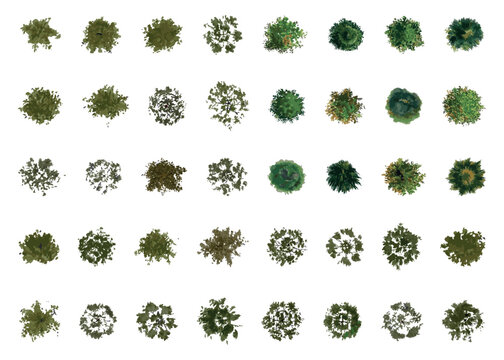 Vector Top View Of Trees And Bushes Vector Illustrations Set. Landscape Elements For Garden, Park Or Forest, Plants	