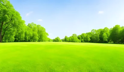 Poster Beautiful summer nature landscape of park with a glade of fresh grass background © anamulhaqueanik