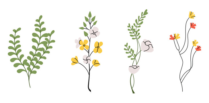 Flower stems set. Spring blooms, field and meadow plants. Gentle floral botanical elements. Delicate forget-me-nots, freesia, pansy. Flat graphic vector illustrations isolated on white background
