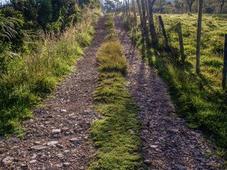 Morning view of a typical rural road made with  gravel and stones,  in the eastern highlands of central Colombia, near the town of Arcabuco.