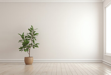 empty room with plant and white walls as background