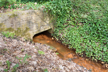 Forest ditches with dirty water. Pollution of the environment