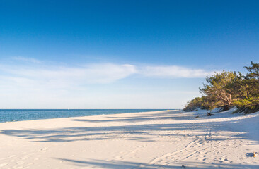 Forest beaches of the Baltic Sea, with sandy entrance, panoramic image. - 653397678