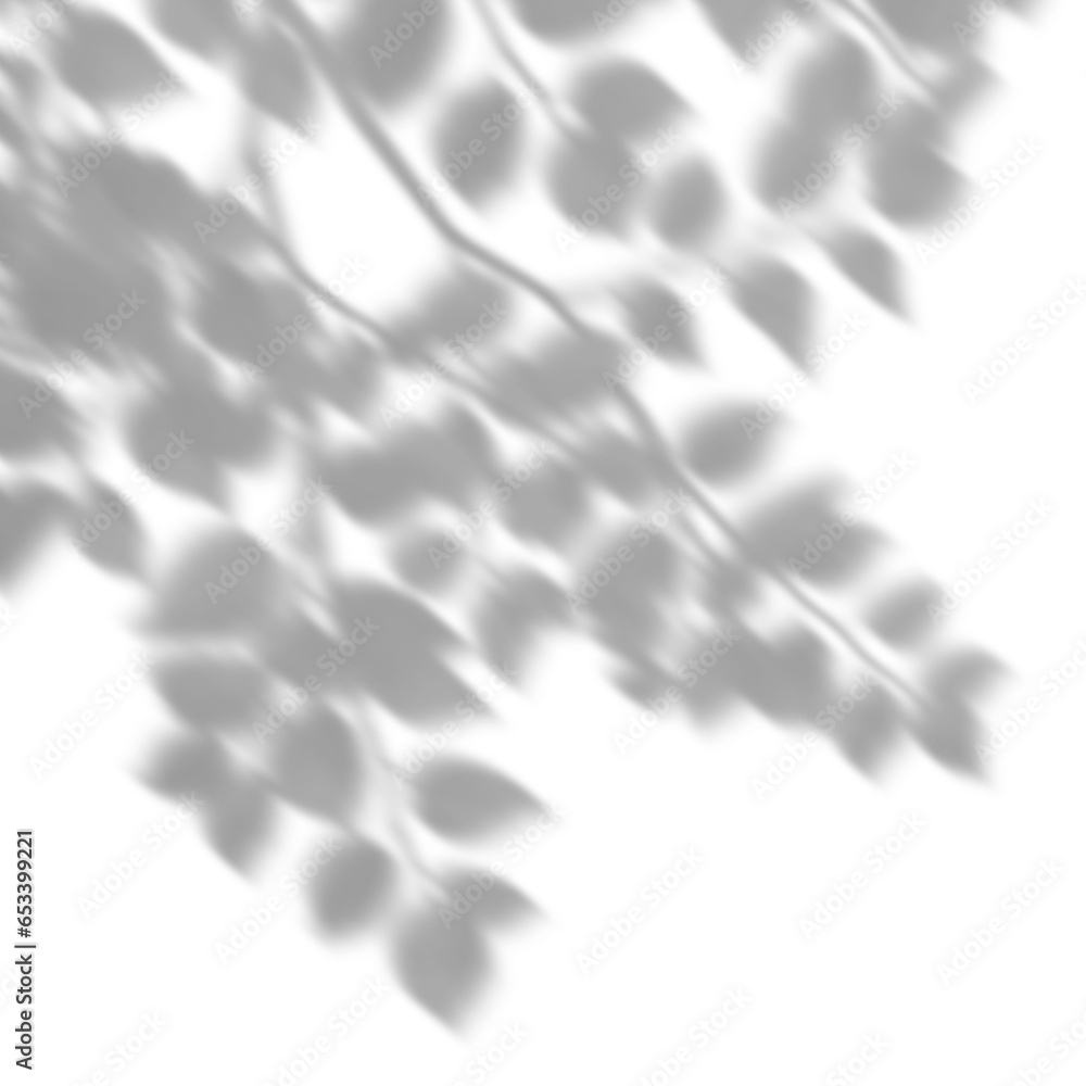 Aufkleber shadow shade leaves tree branches transparent backgrounds 3d render png