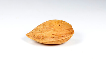 closeup of a single almond on white background