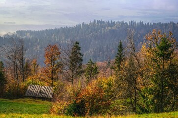 Countryside autumn landscape in Polish mountains. View of wooden hut on the glade in the forest, Beskids mountains in autumn season. - 653401000