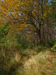 Late summer landscape of Via Transilvanica trail in Mehedinti Mountains, Romania, Europe	
