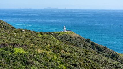Fototapeta na wymiar Cape Reinga Lighthouse on hill, New Zealand