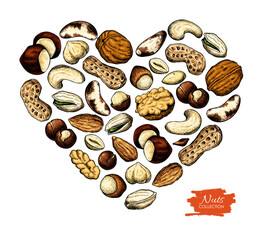 Nuts and seeds vector illustration in heart shape