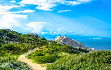 Photo sur Plexiglas Bleu Capo Testa - Faro di Capo Testa at Sardinia. beautiful landscape with flowers