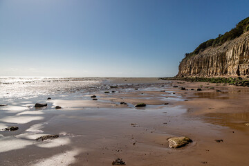 A view along Pett Level beach towards the cliffs, at low tide
