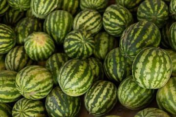 watermelons market on the street
