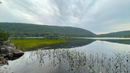 Pond in Acadia National Park. Picture taken on cloudy summer day.