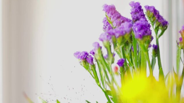 fresh violet statice standing in water on the windowsill