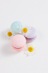 Set colorful French macarons on white background with flowers chamomile top view. Concept spring mood, gift cakes flat lay with copy space