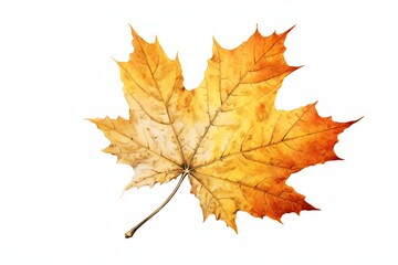 Illustration of maple autumn leaf isolated on white background. Generative AI