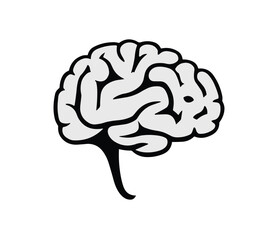 Brain line illustration mind vector PNG image