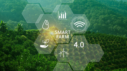 Smart farm, agriculture concept with infographics Smart farming and precision agriculture 4.0 with...