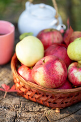 Basket with apples on a large stump, in the apple orchard