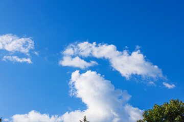 Beautiful view of clouds on blue sky above tops of forest trees.
