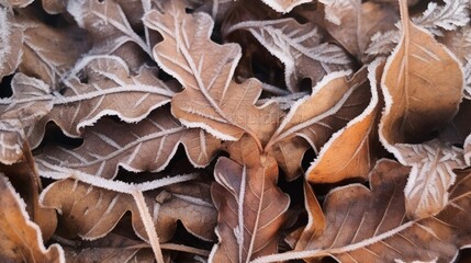 Frozen oak leafs - abstract natural background - obrazy, fototapety, plakaty