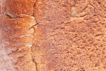 Texture of rye bread crust