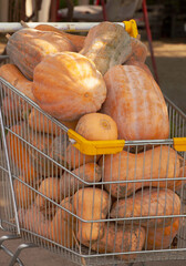 colorful and orange pumpkins for Halloween