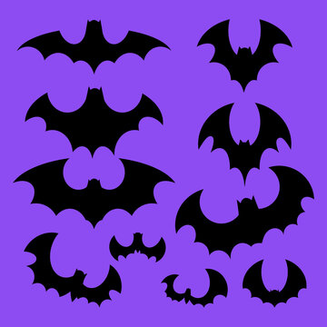 Set of different black bats