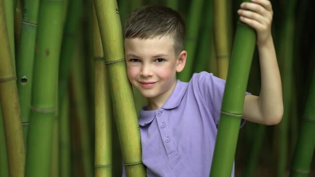 portrait of a schoolboy standing among the bamboos and looking at the camera.