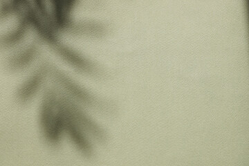 green background for presentation with beautiful shadows. Blank minimal green wall with palm leaf...