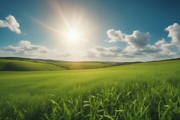 Fototapeta premium Panoramic natural landscape with green grass field meadow and blue sky with clouds, bright sun and horisont